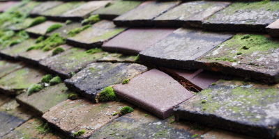 Mount Ambrose roof repair costs